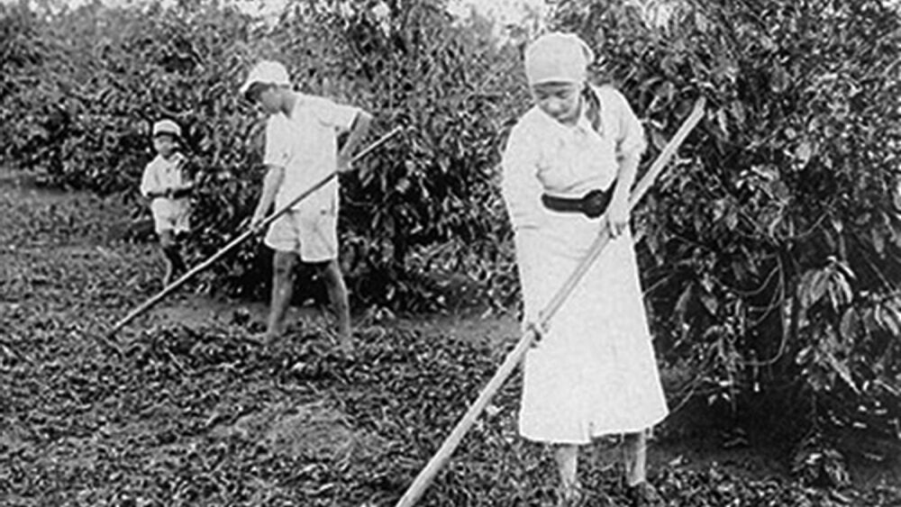 Comercio y oficios de la comunidad
